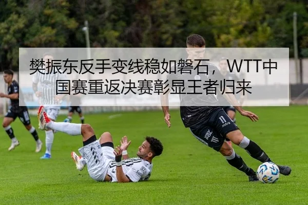 樊振东反手变线稳如磐石，WTT中国赛重返决赛彰显王者归来 | Leyu